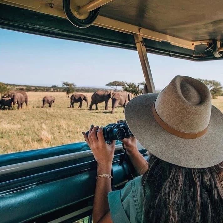 Safaris with a Purpose