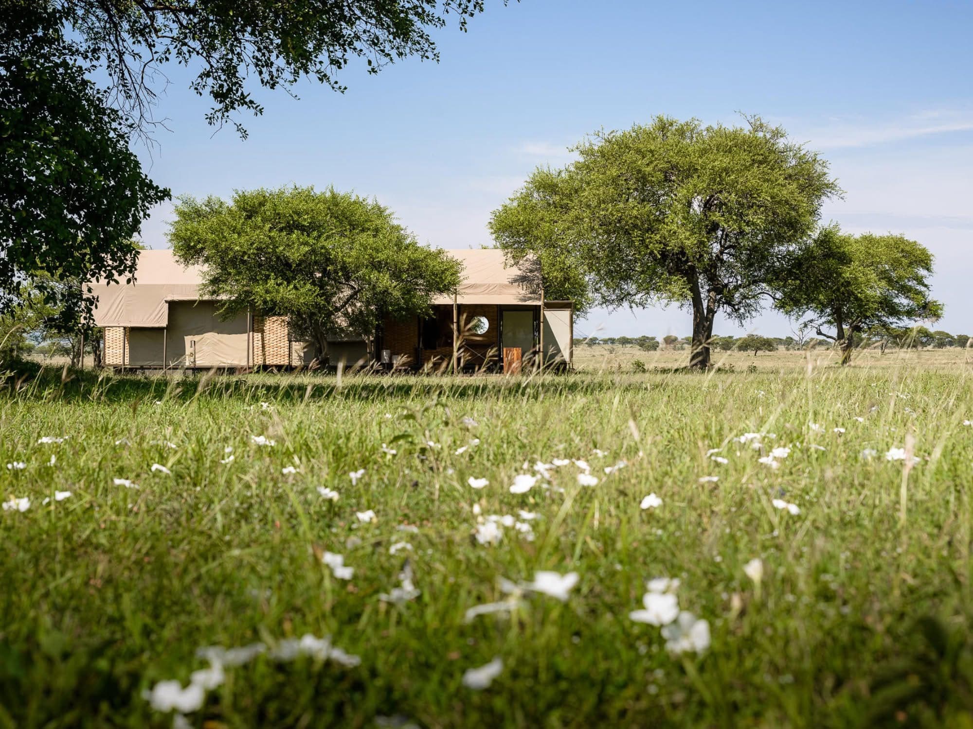 Singita Sabora Tented Camp