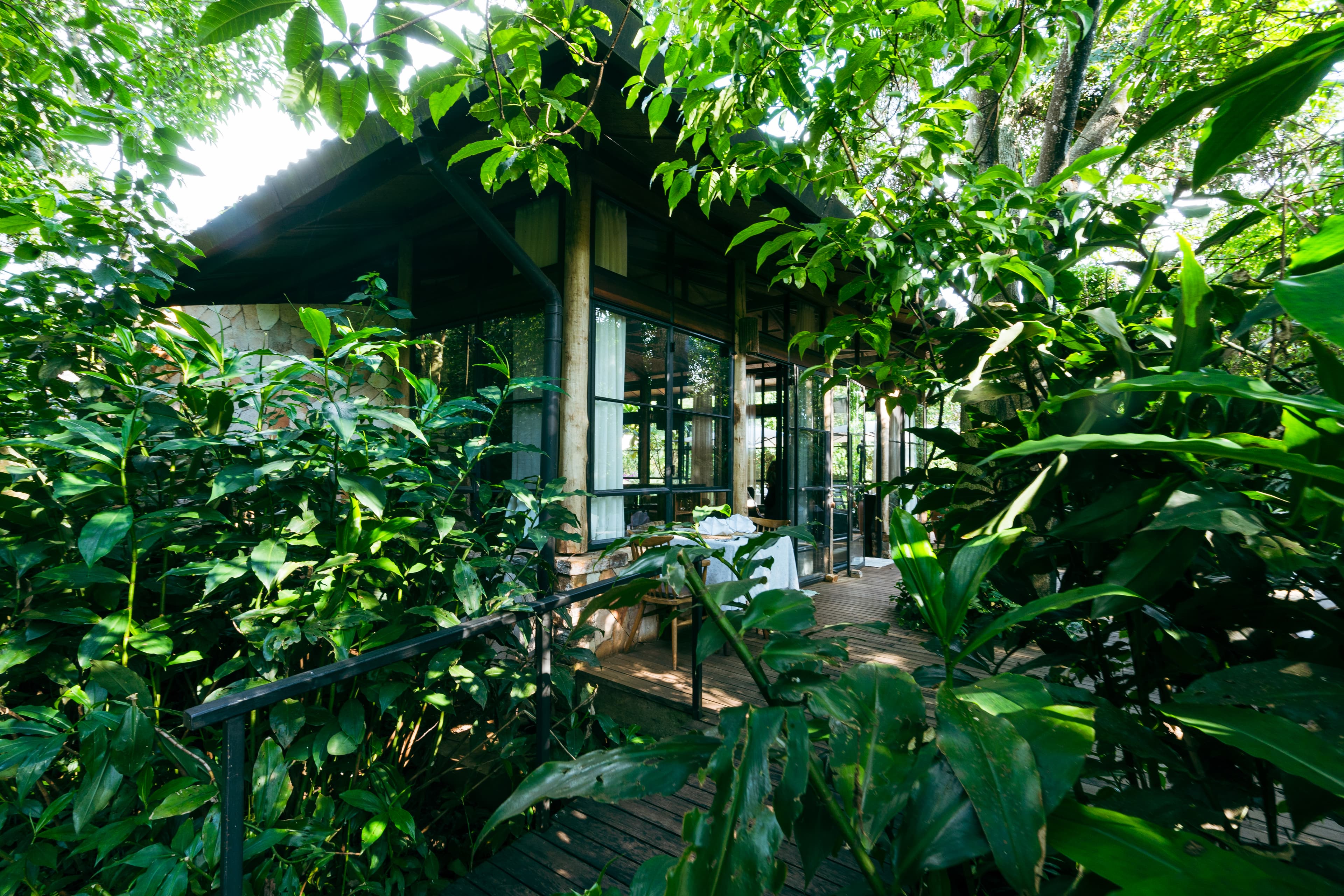 Entebbe Forest Lodge