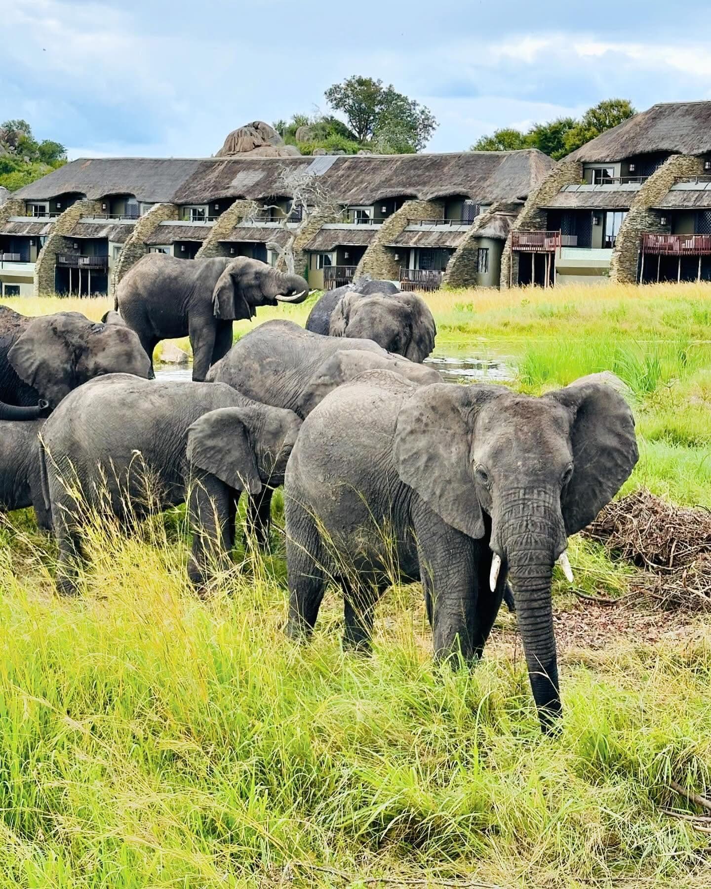 Four Seasons Serengeti
