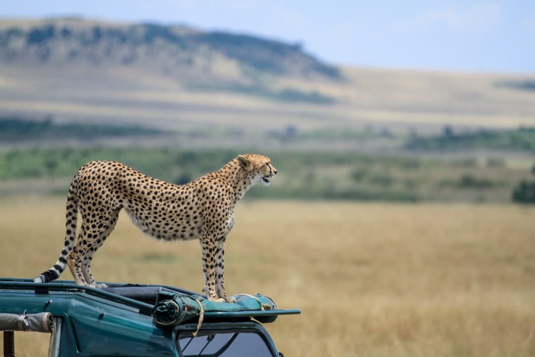 Kenya