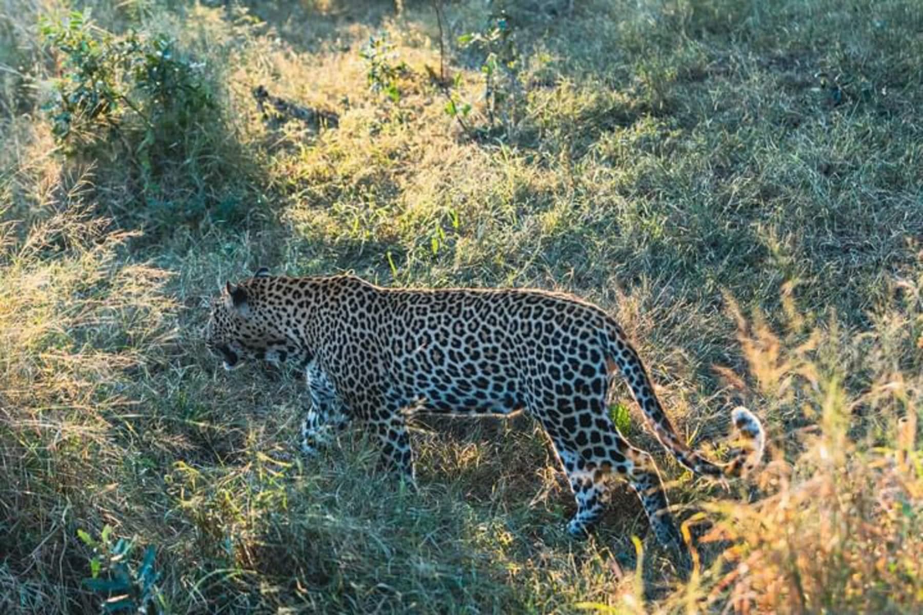 Family Adventure through Kenya 11 Days/10 Nights