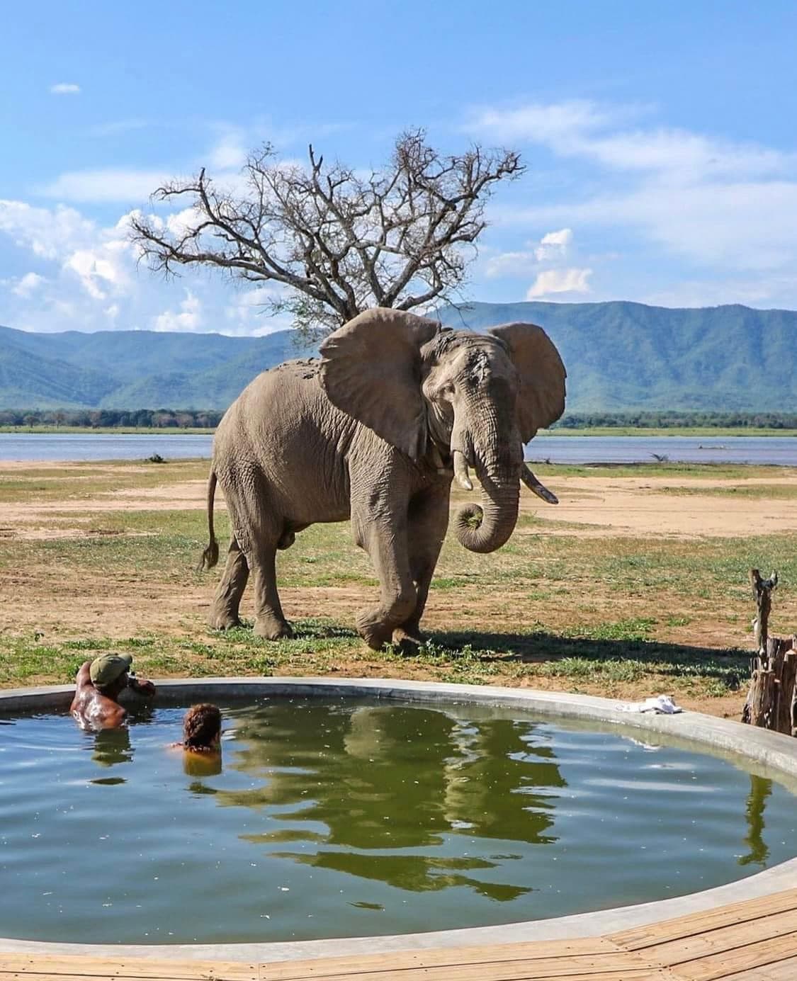The Best of Tanzania’s Trifecta of Parks Luxury Safari 9 Days/8 Nights
