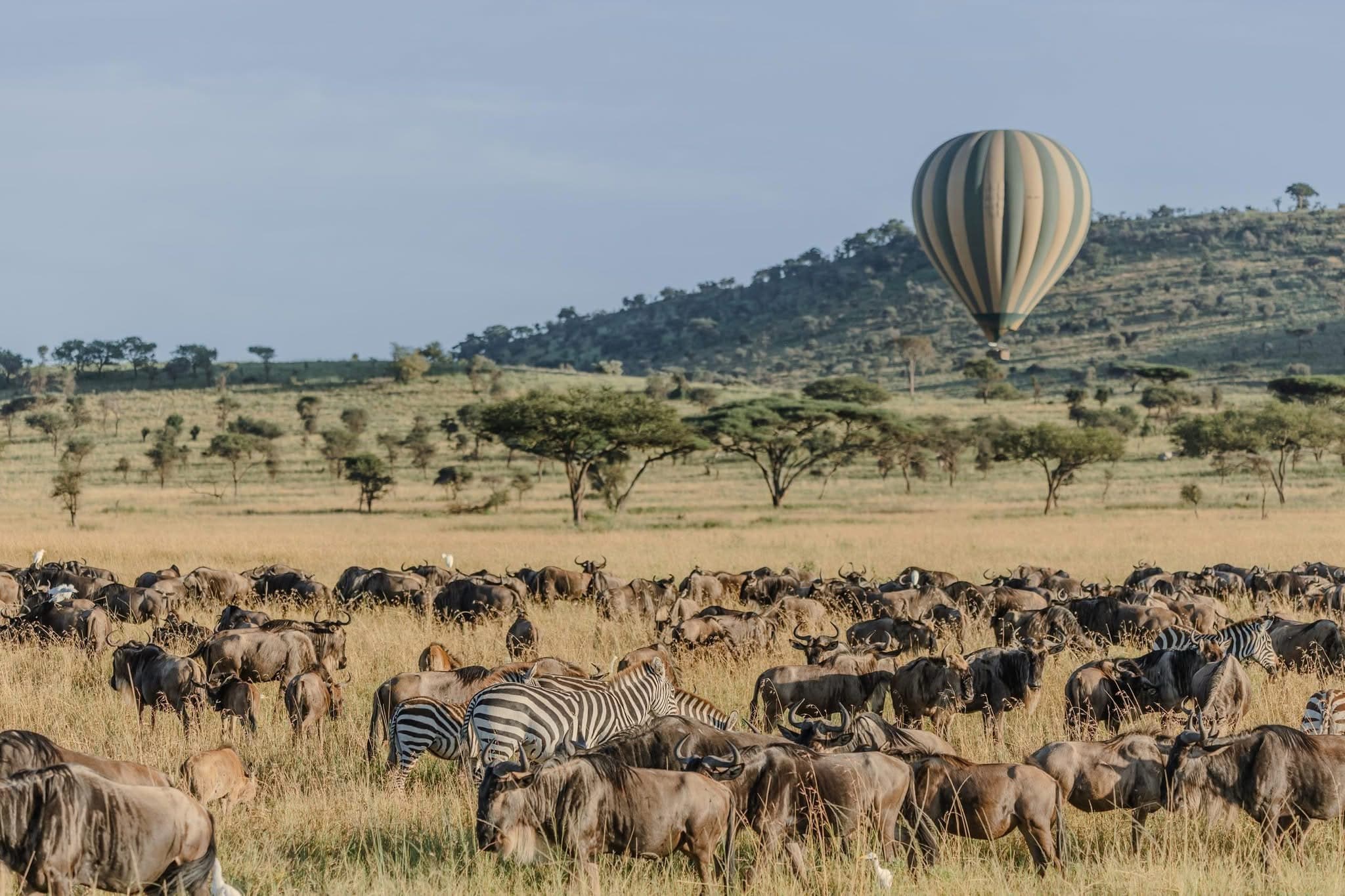 10 Days / 9 Nights Tanzania Luxury Safari