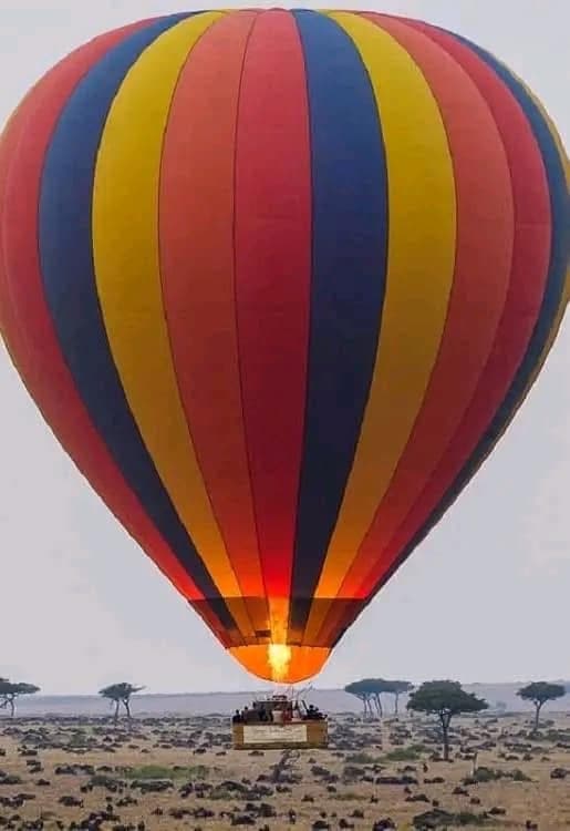 Hot Air Balloon Safaris - Safari experience showcasing A Magical Aerial Safari Experience in East Africa