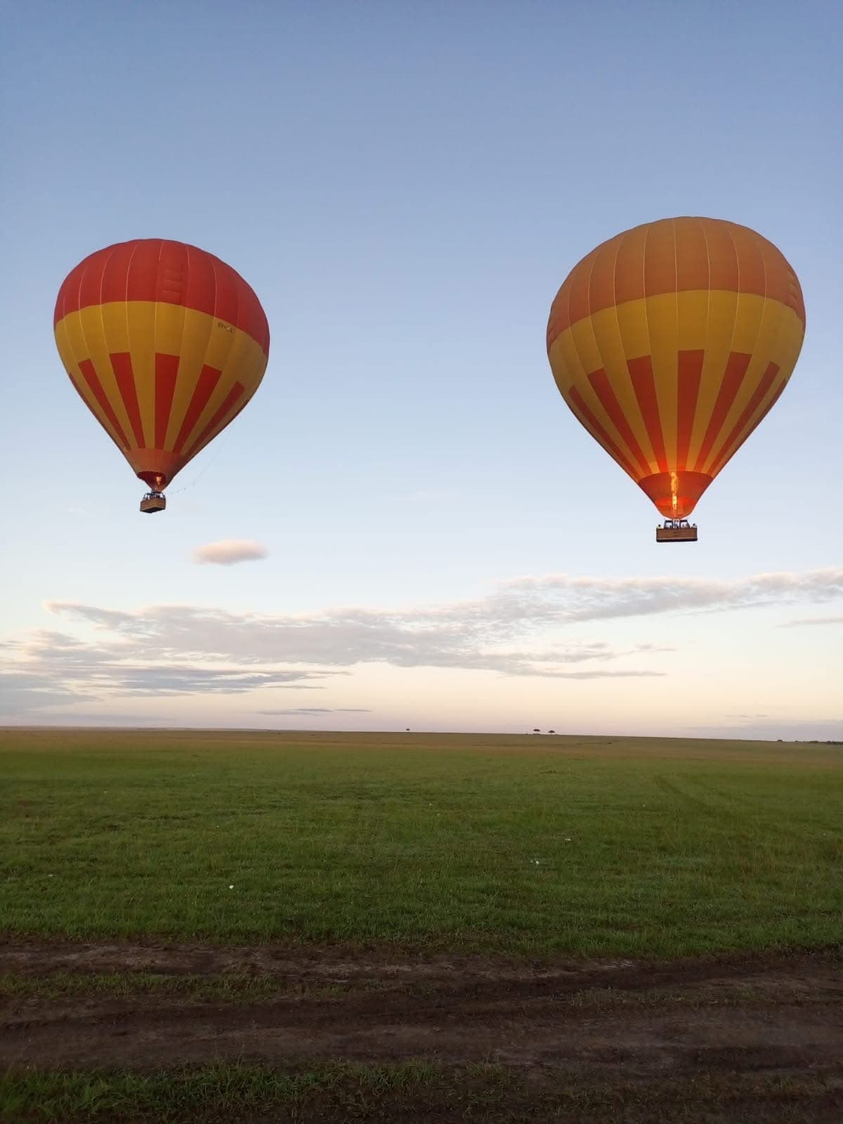 Hot Air Balloon Safaris - Safari experience showcasing A Magical Aerial Safari Experience in East Africa