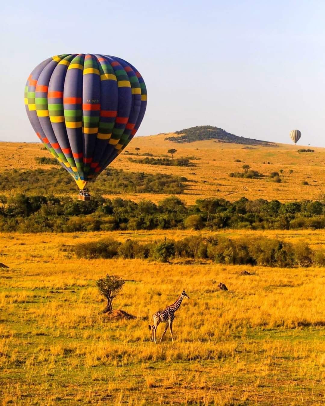 Hot Air Balloon Safaris - Safari experience showcasing A Magical Aerial Safari Experience in East Africa
