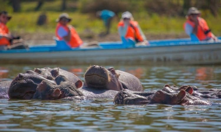 Boat Safaris - Safari experience showcasing A Journey Through Untamed Waters in East Africa