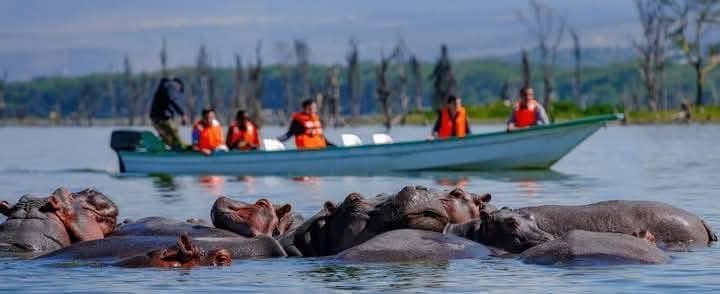 Boat Safaris - Safari experience showcasing A Journey Through Untamed Waters in East Africa