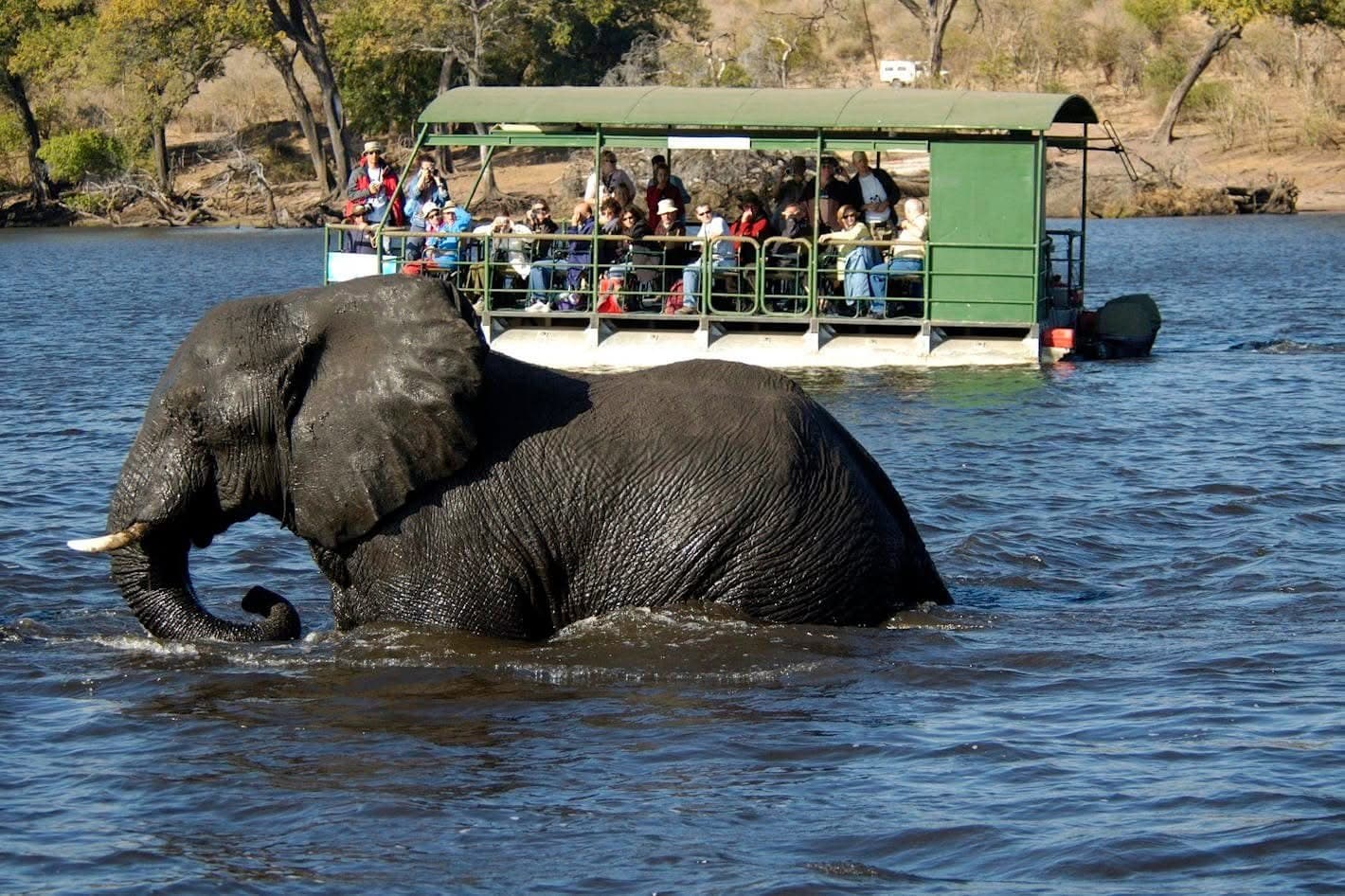Boat Safaris - Safari experience showcasing A Journey Through Untamed Waters in East Africa