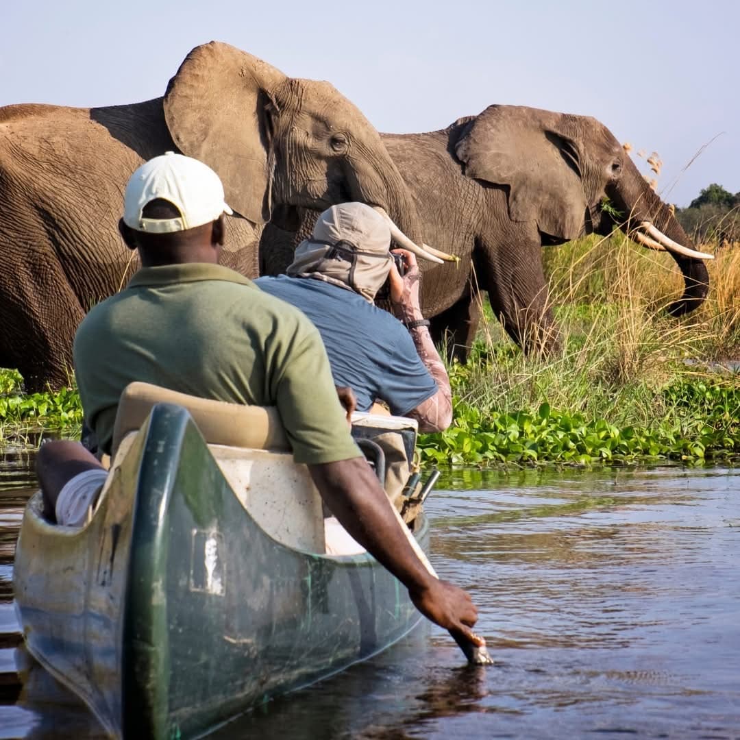 Boat Safaris - Safari experience showcasing A Journey Through Untamed Waters in East Africa