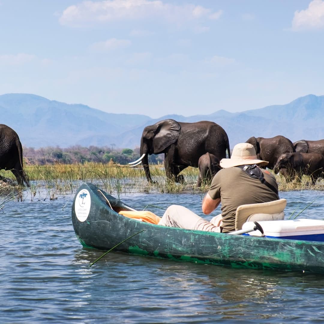 Boat Safaris - Safari experience showcasing A Journey Through Untamed Waters in East Africa