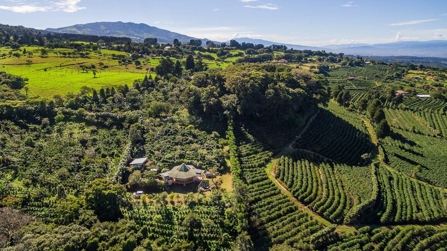 Coffee Tours - Safari experience showcasing A Unique Safari Experience in East Africa