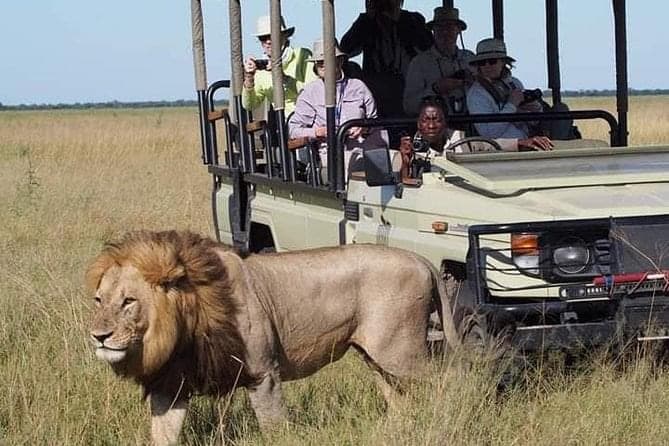 Day Game Drives - Safari experience showcasing The Ultimate Safari Adventure in East Africa