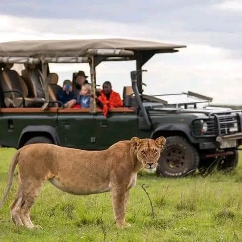 Day Game Drives - Safari experience showcasing The Ultimate Safari Adventure in East Africa