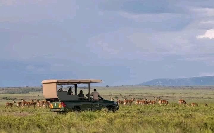 Day Game Drives - Safari experience showcasing The Ultimate Safari Adventure in East Africa