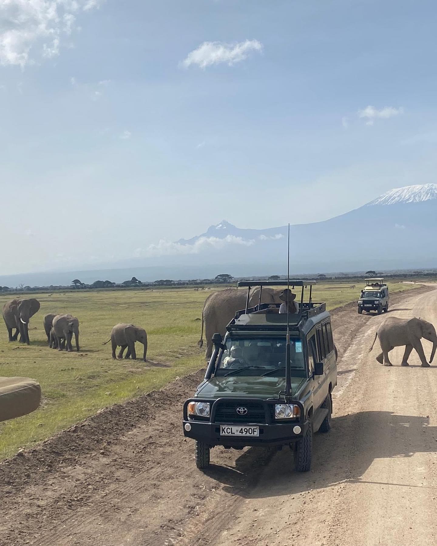 Day Game Drives - Safari experience showcasing The Ultimate Safari Adventure in East Africa