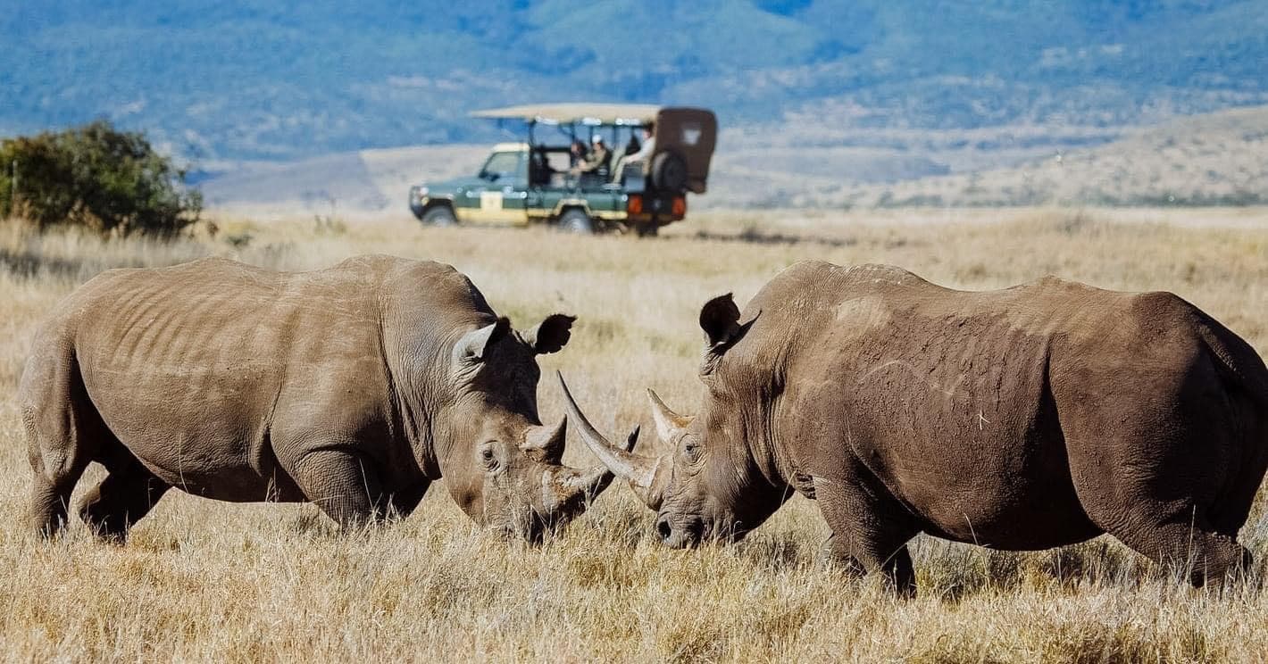 Day Game Drives - Safari experience showcasing The Ultimate Safari Adventure in East Africa