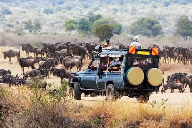 Day Game Drives - Safari experience showcasing The Ultimate Safari Adventure in East Africa