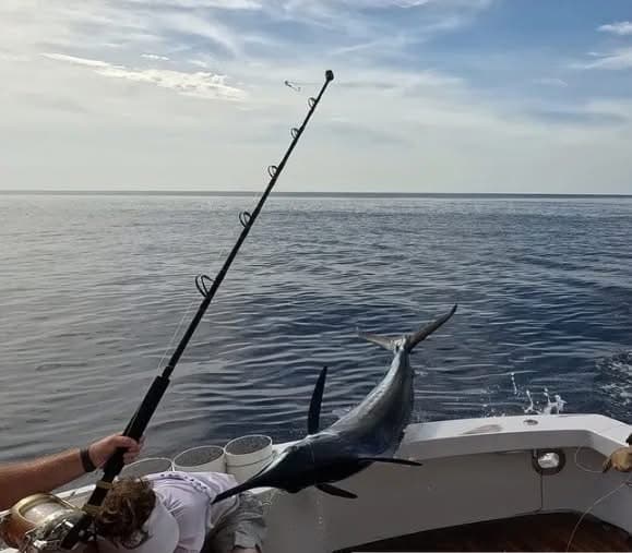 Deep Sea Fishing - Safari experience showcasing An Unforgettable Ocean Safari in East Africa