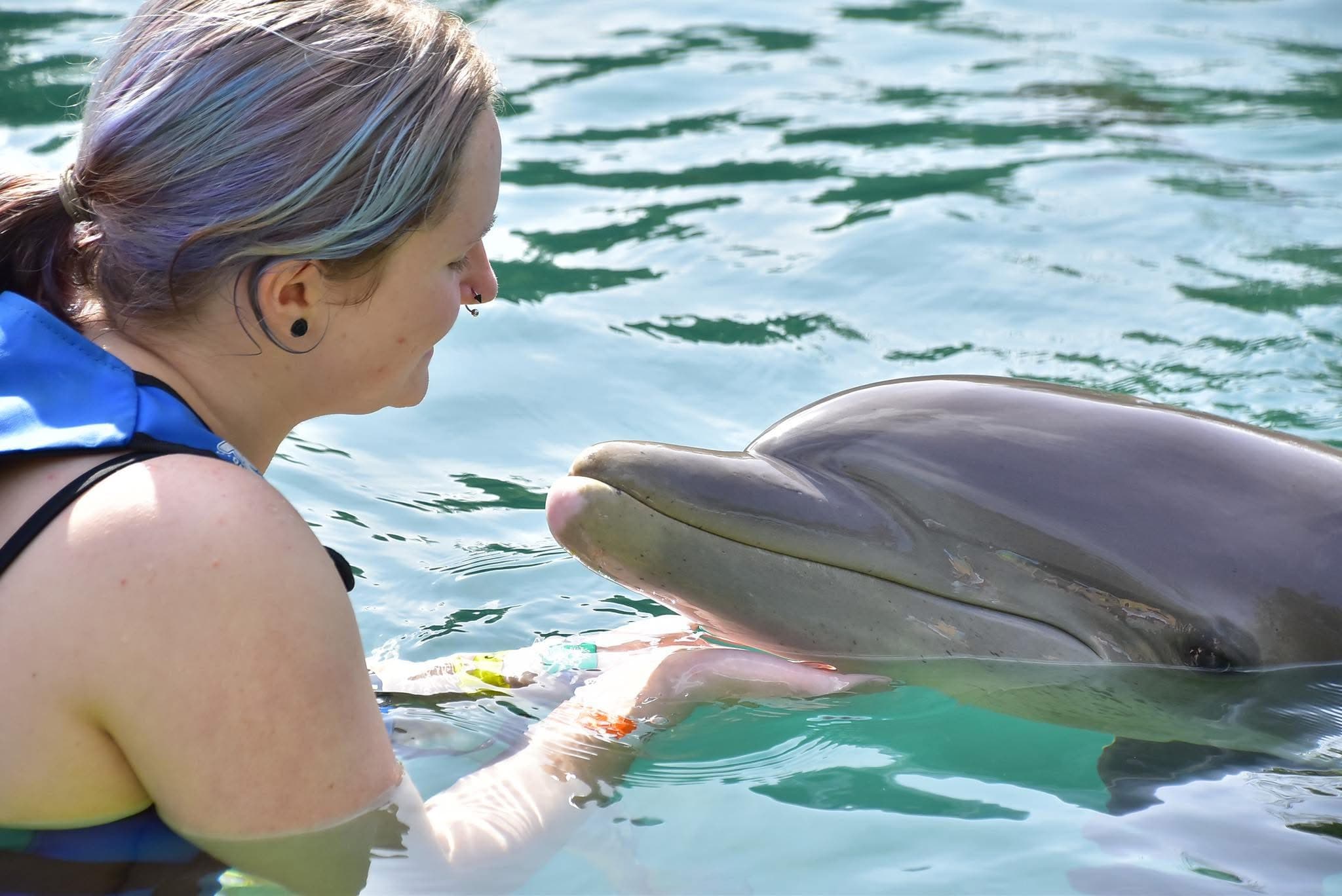 Dolphin Watching - Safari experience showcasing A Safari on the Open Sea in East Africa