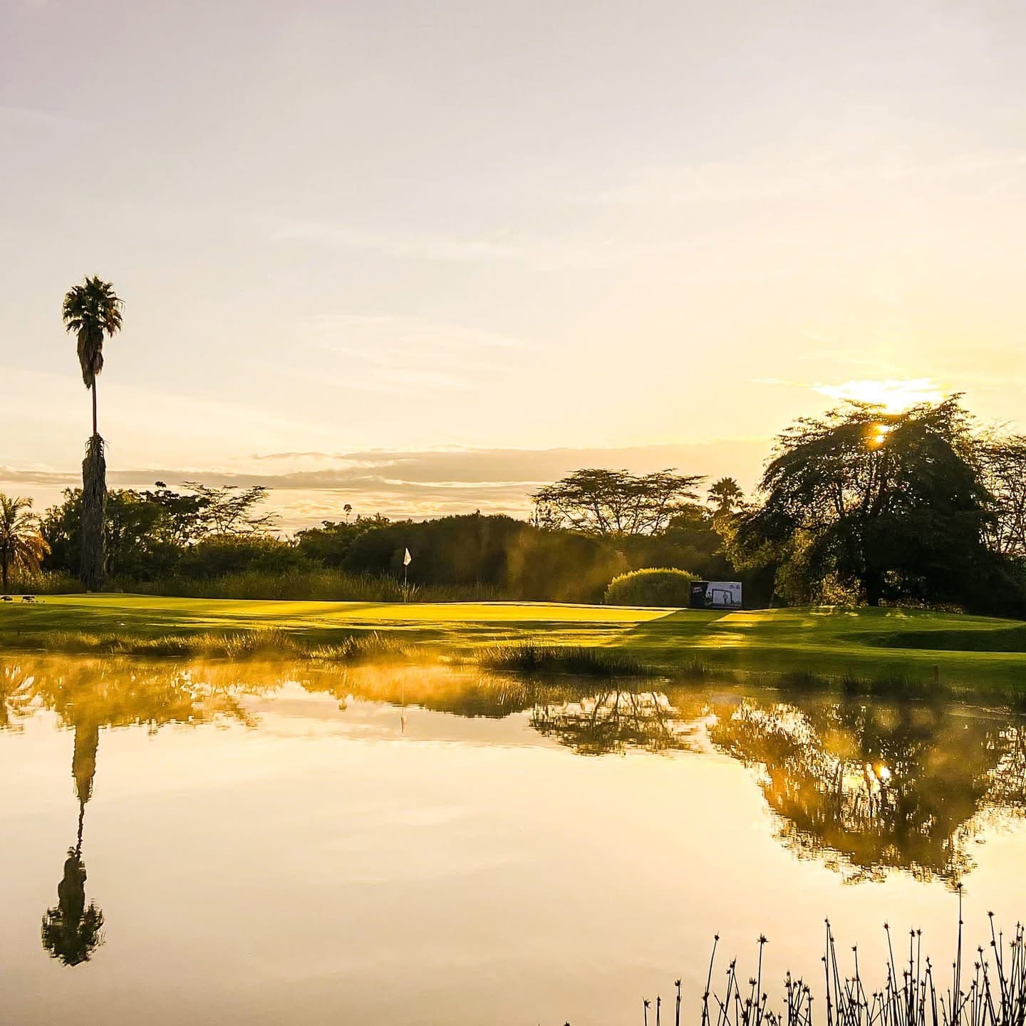 Golf Safaris - Safari experience showcasing Where Luxury Meets the Wild in East Africa