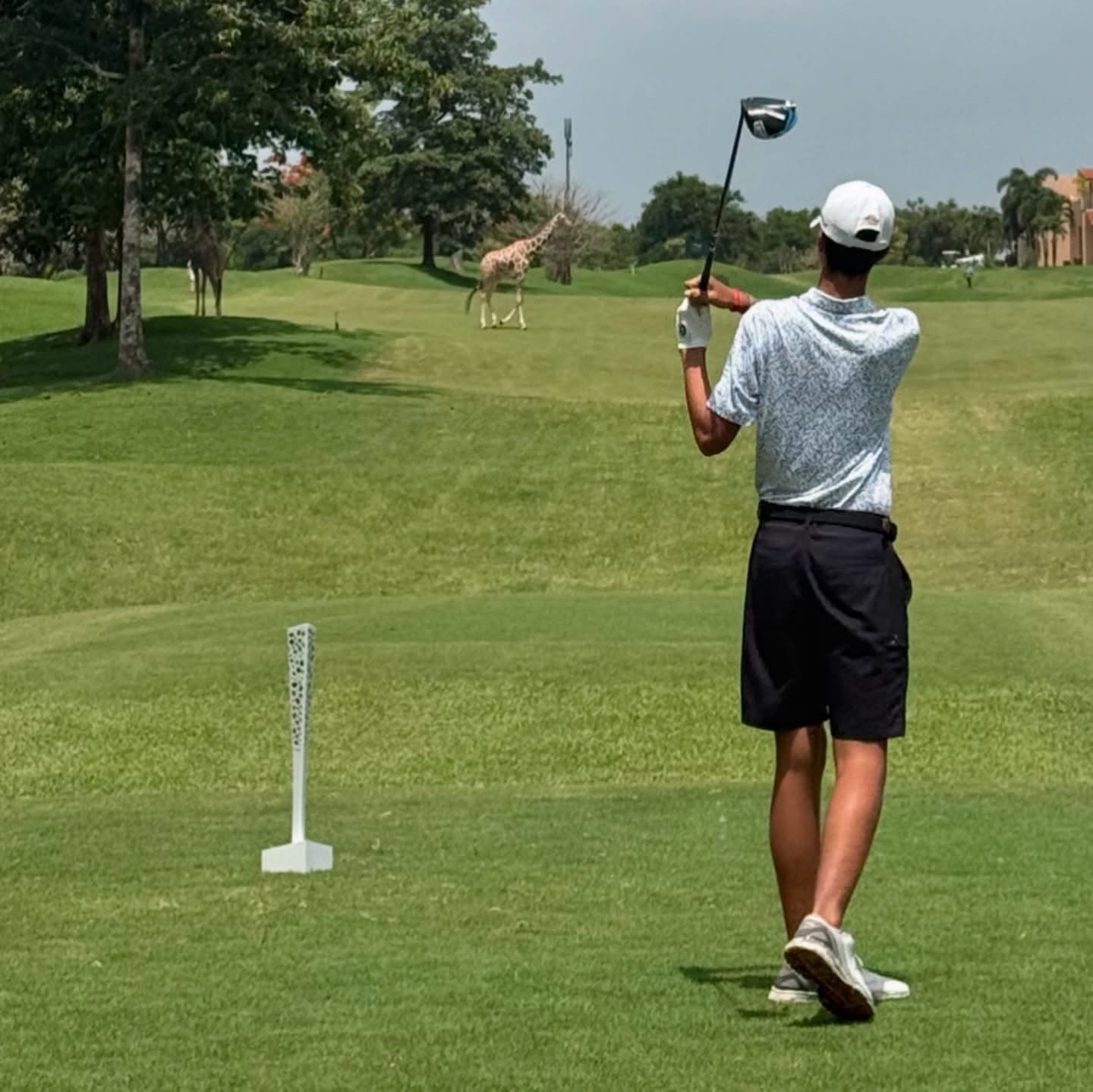 Golf Safaris - Safari experience showcasing Where Luxury Meets the Wild in East Africa