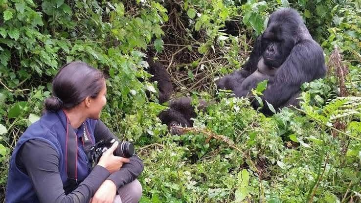 3 Days / 2 Nights Mountain Gorilla Trekking Safari In Rwanda