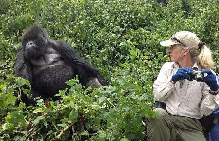4 Days Mountain Gorilla Trekking Uganda Via Rwanda