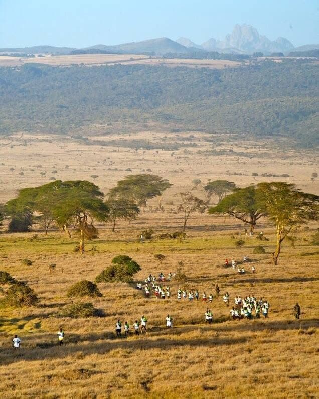 Guided Running Safaris - Safari experience showcasing A Thrilling Wildlife Adventure in East Africa