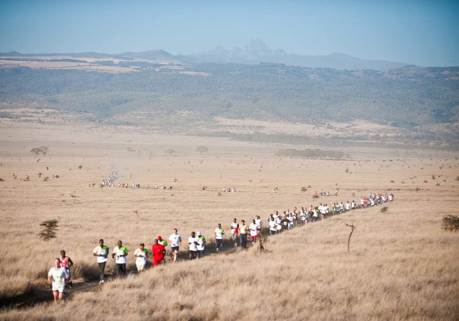 Guided Running Safaris - Safari experience showcasing A Thrilling Wildlife Adventure in East Africa