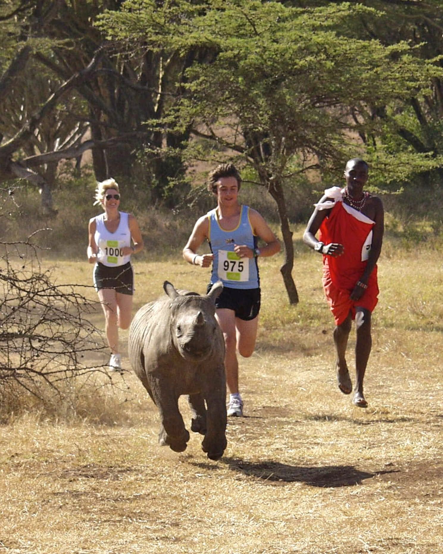 Guided Running Safaris - Safari experience showcasing A Thrilling Wildlife Adventure in East Africa