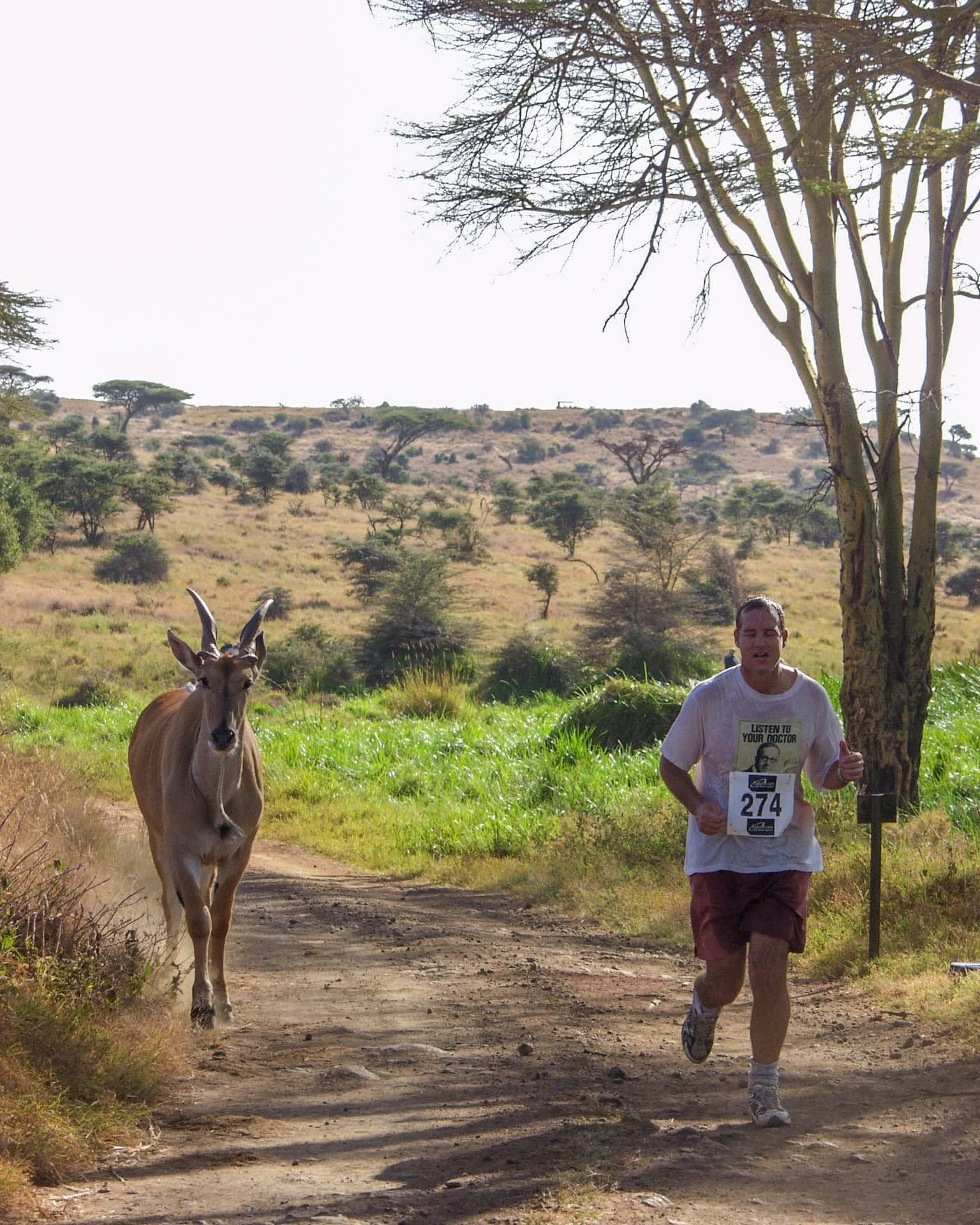 Guided Running Safaris - Safari experience showcasing A Thrilling Wildlife Adventure in East Africa