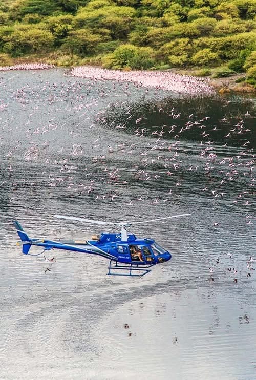 Helicopter Safaris - Safari experience showcasing A Breathtaking Aerial Adventure in East Africa