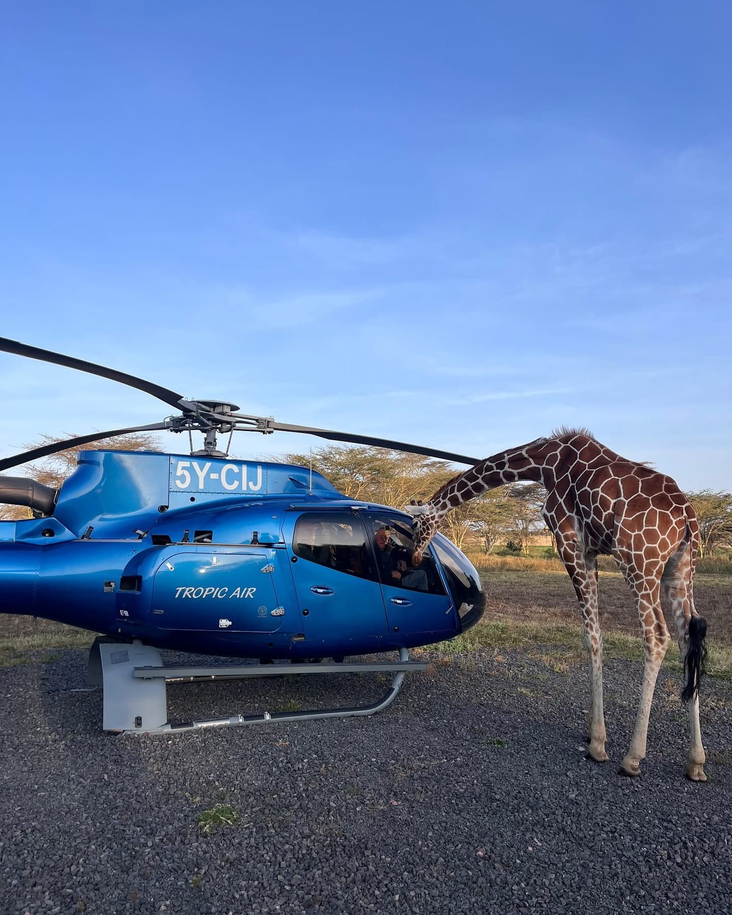 Helicopter Safaris - Safari experience showcasing A Breathtaking Aerial Adventure in East Africa