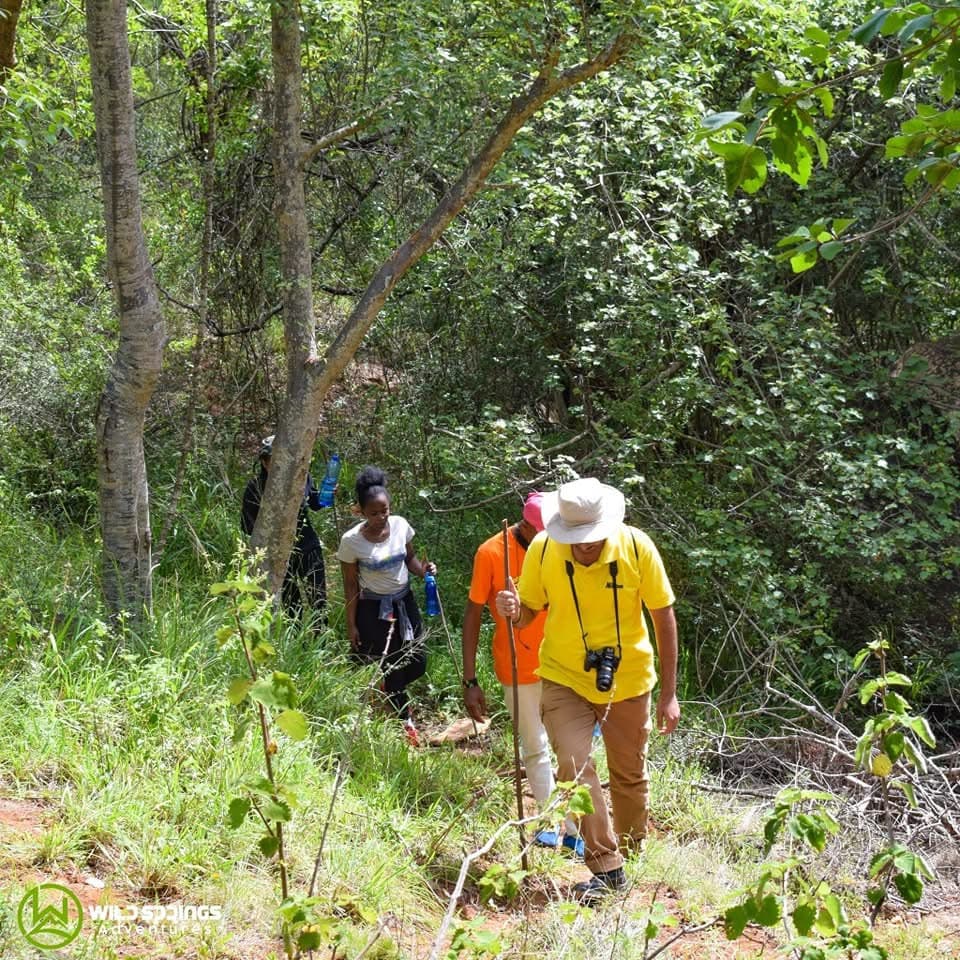 Hiking - Safari experience showcasing A Safari on Foot Through Stunning Landscapes in East Africa