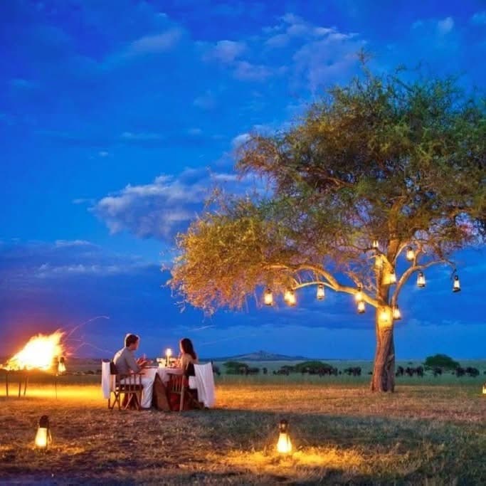 Honeymoon Safaris - Safari experience showcasing A Romantic Journey into the Wild in East Africa