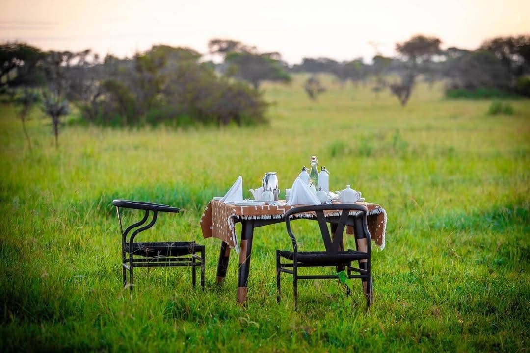 Honeymoon Safaris - Safari experience showcasing A Romantic Journey into the Wild in East Africa