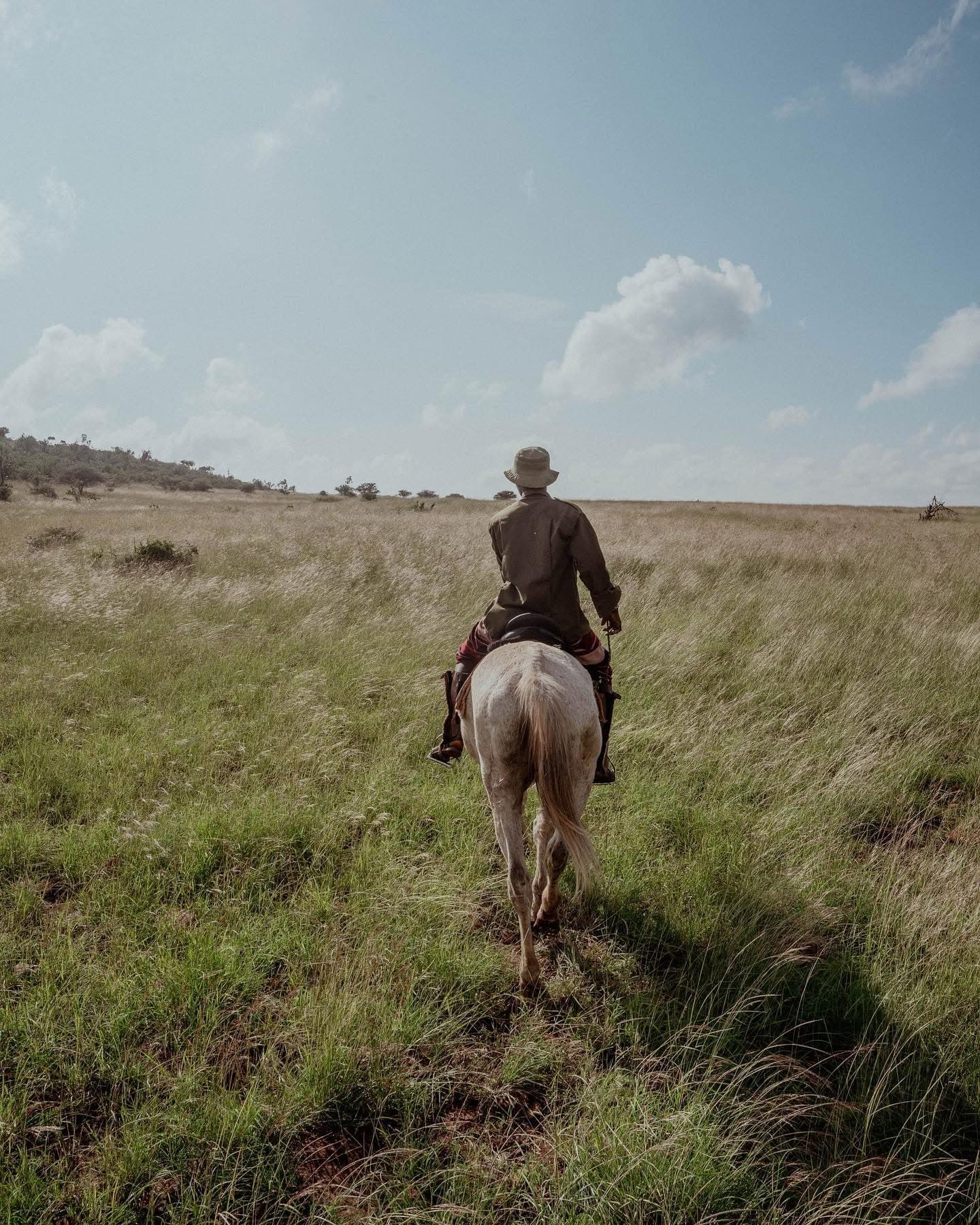 Horse Riding Safaris - Safari experience showcasing A Thrilling Safari on Horseback in East Africa