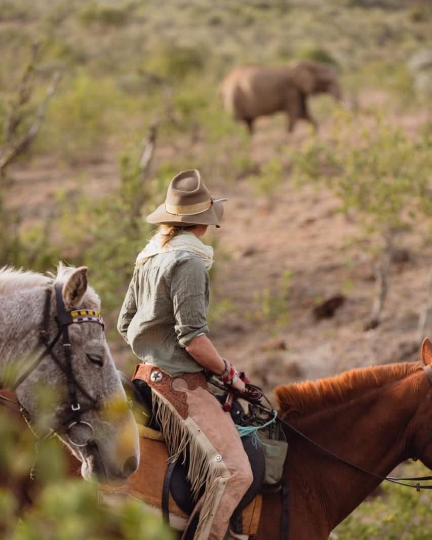 Horse Riding Safaris - Safari experience showcasing A Thrilling Safari on Horseback in East Africa