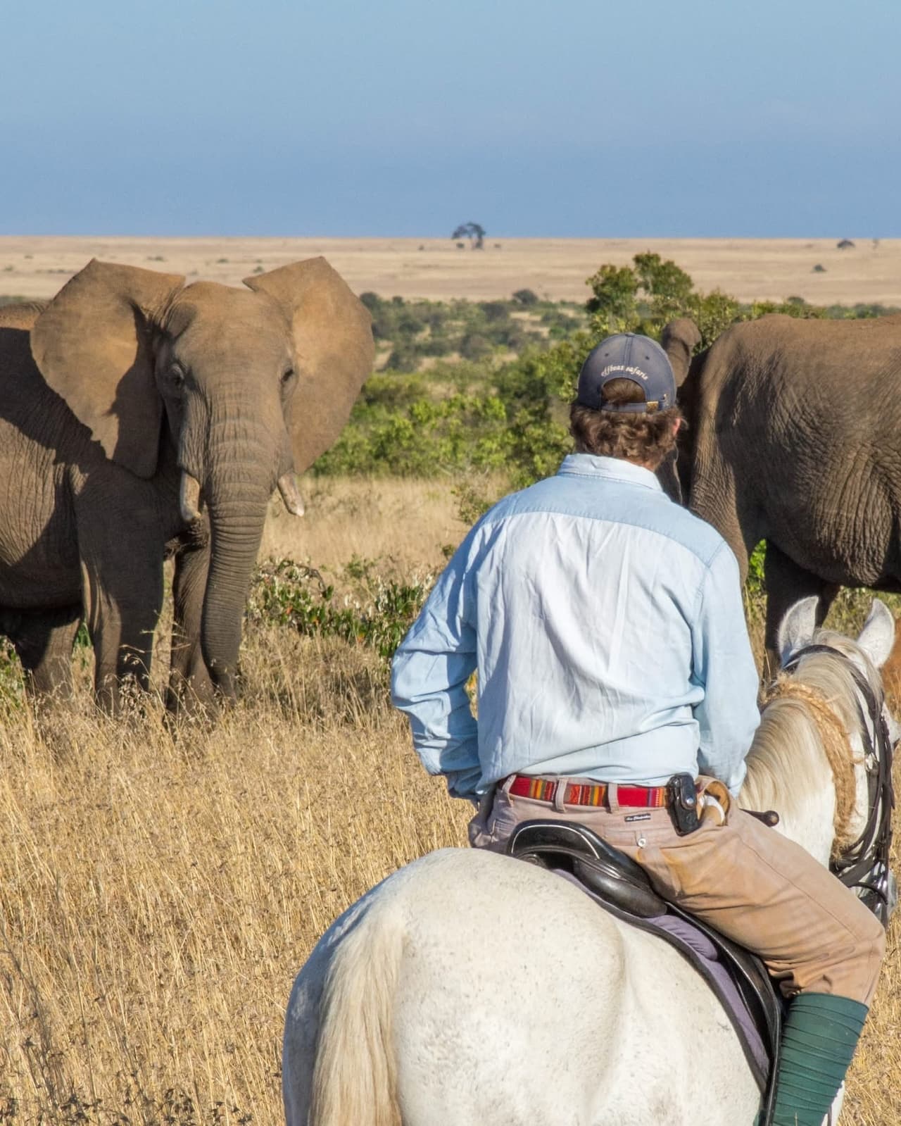 Horse Riding Safaris - Safari experience showcasing A Thrilling Safari on Horseback in East Africa