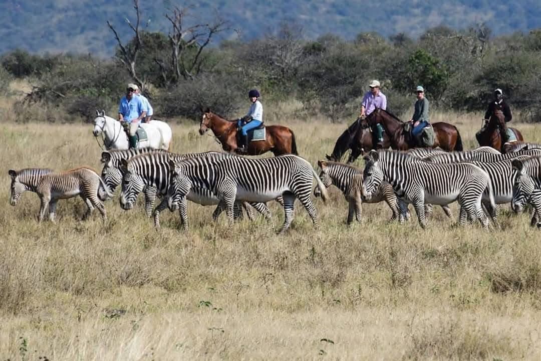 Horse Riding Safaris - Safari experience showcasing A Thrilling Safari on Horseback in East Africa