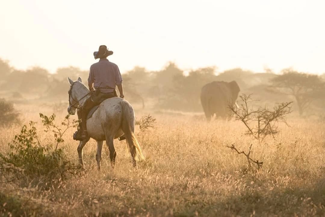Horse Riding Safaris - Safari experience showcasing A Thrilling Safari on Horseback in East Africa