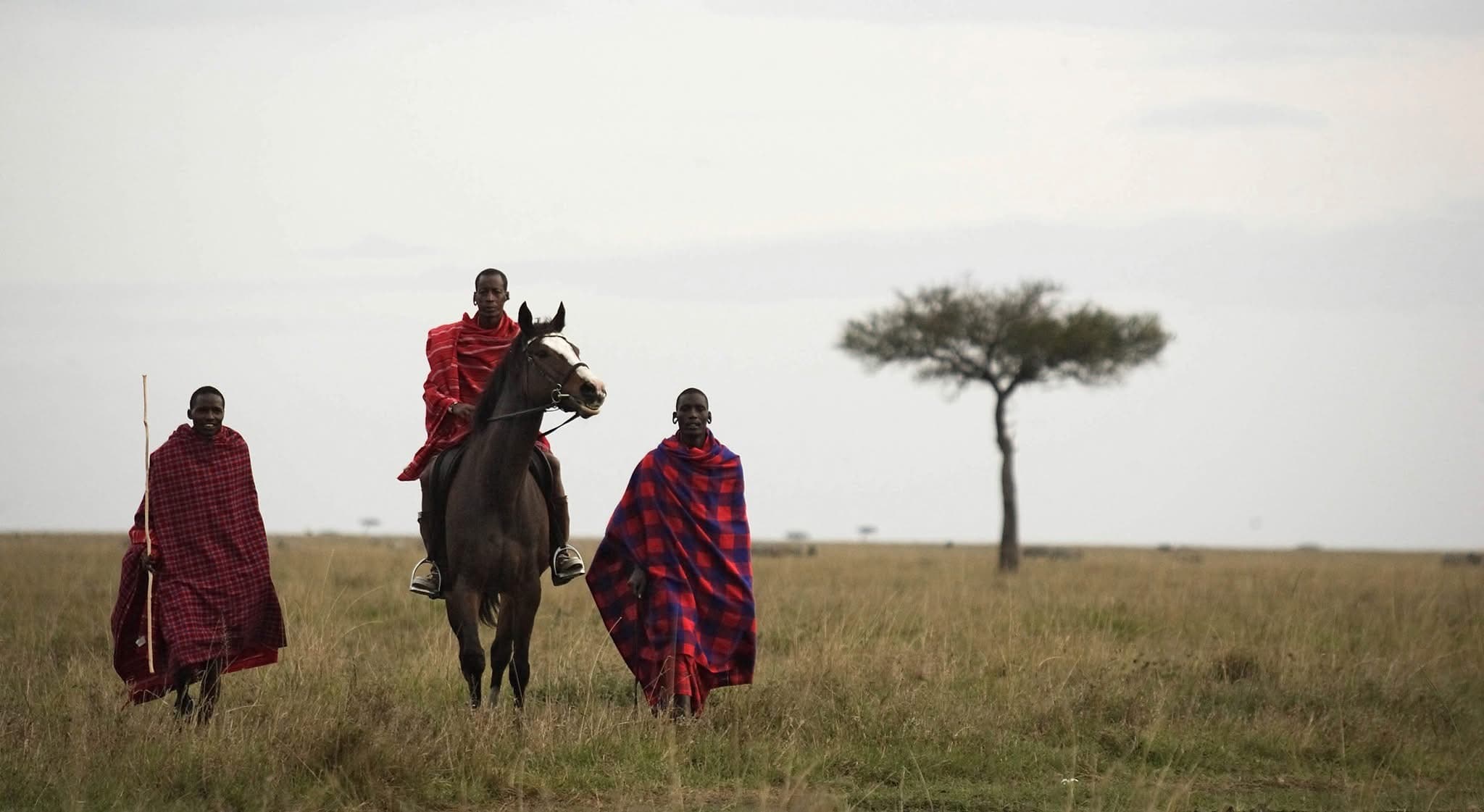 Horse Riding Safaris - Safari experience showcasing A Thrilling Safari on Horseback in East Africa
