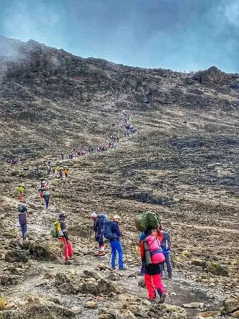 Mountain Climbing - Safari experience showcasing A Safari Beyond the Wild in East Africa