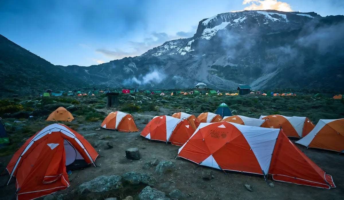 Mountain Climbing - Safari experience showcasing A Safari Beyond the Wild in East Africa