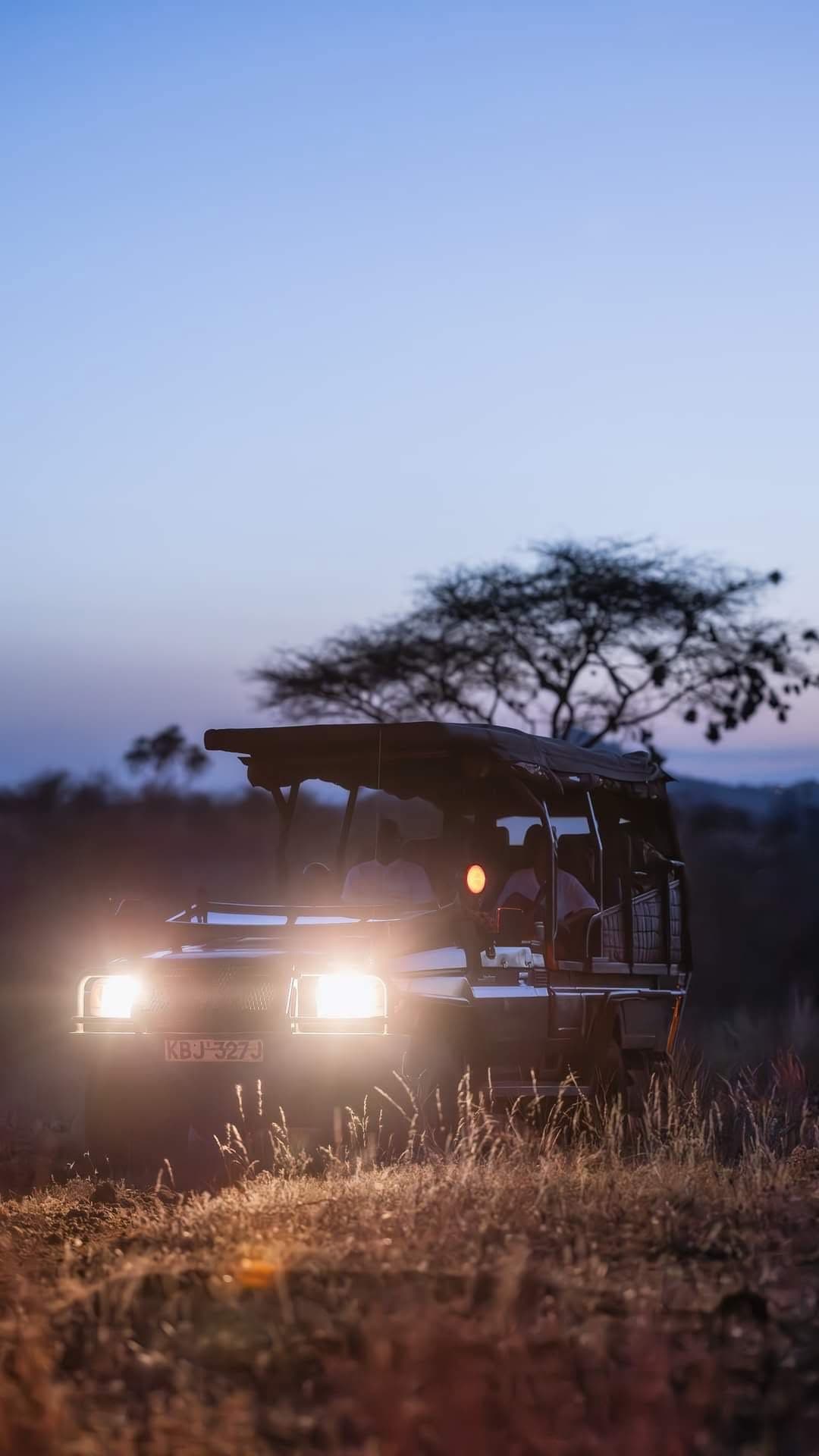 Night Game Drives - Safari experience showcasing A Nocturnal Safari Adventure in East Africa