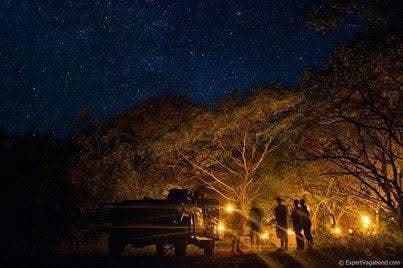 Night Game Drives - Safari experience showcasing A Nocturnal Safari Adventure in East Africa