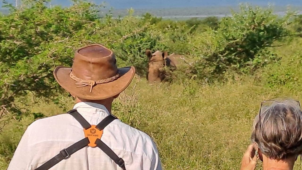 Rhino Tracking - Safari experience showcasing A Conservation Safari Adventure in East Africa