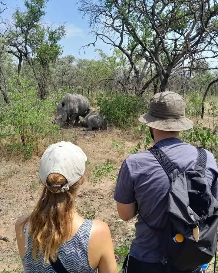 Rhino Tracking - Safari experience showcasing A Conservation Safari Adventure in East Africa